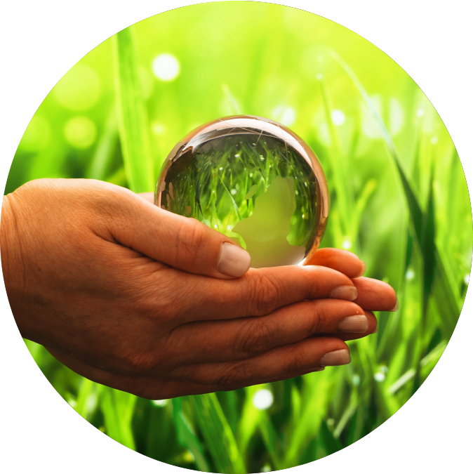 Cuidado del Medio Ambiente